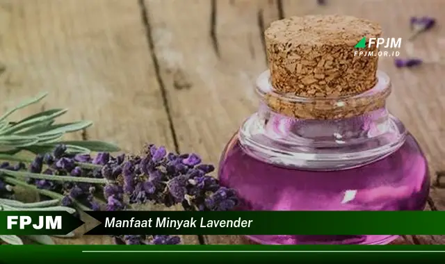 manfaat minyak lavender