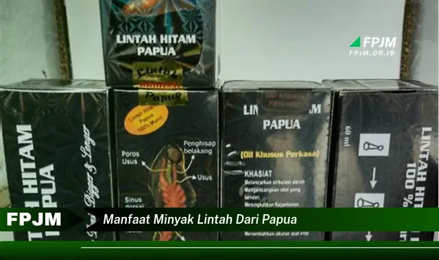 manfaat minyak lintah dari papua