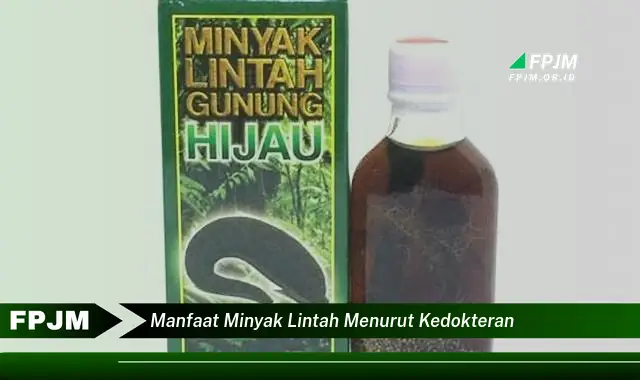 manfaat minyak lintah menurut kedokteran