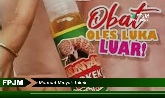 manfaat minyak tokek