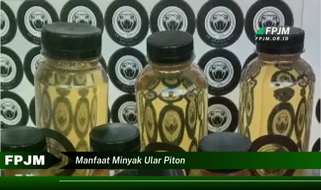 manfaat minyak ular piton