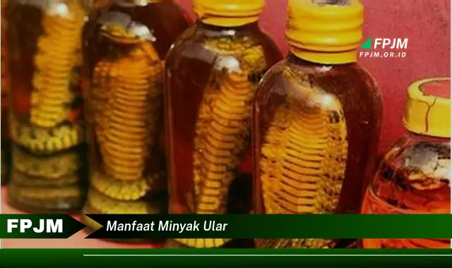 manfaat minyak ular