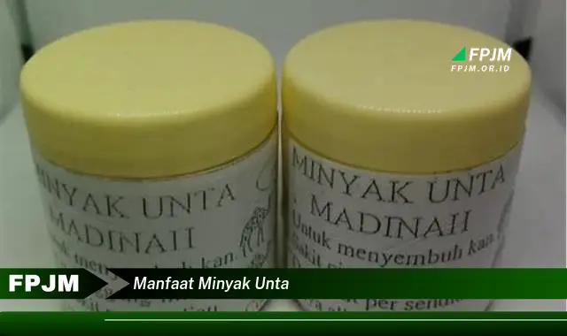 manfaat minyak unta