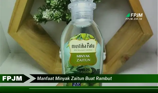 manfaat minyak zaitun buat rambut