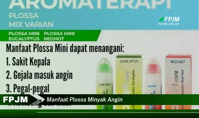 manfaat plossa minyak angin