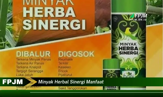 minyak herbal sinergi manfaat