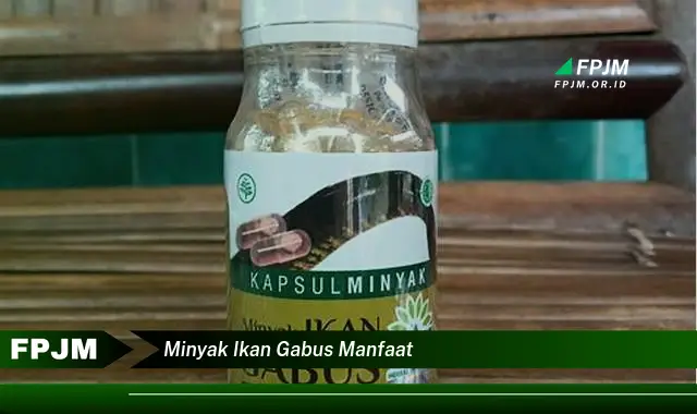 minyak ikan gabus manfaat