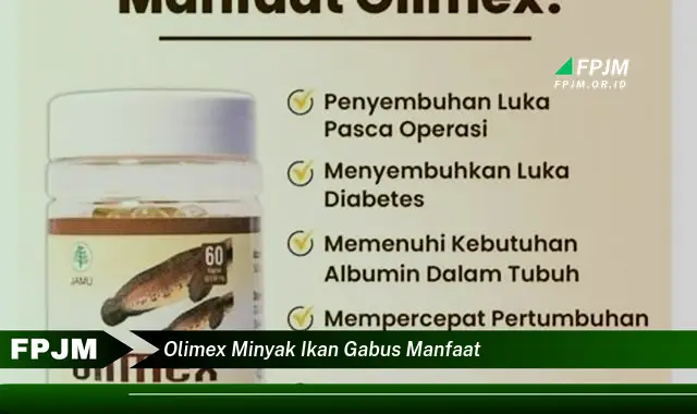 olimex minyak ikan gabus manfaat