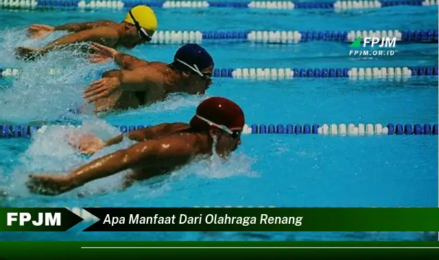 apa manfaat dari olahraga renang