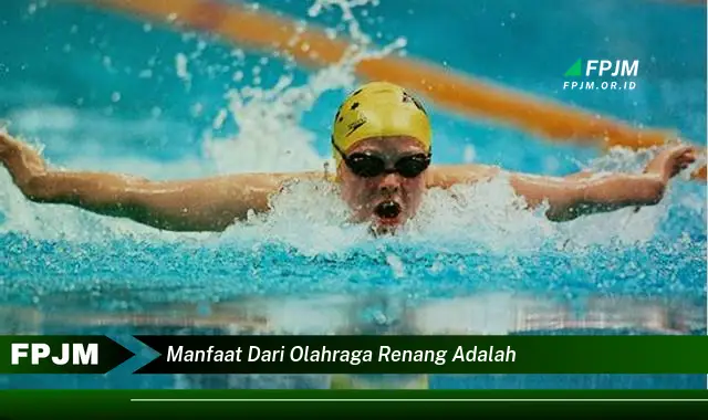 manfaat dari olahraga renang adalah