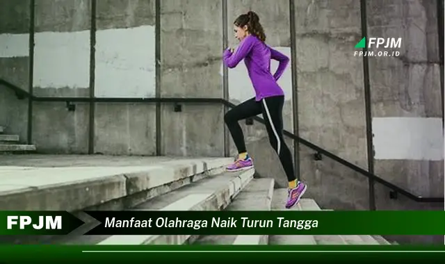 manfaat olahraga naik turun tangga