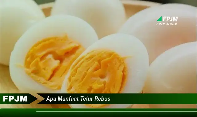 apa manfaat telur rebus