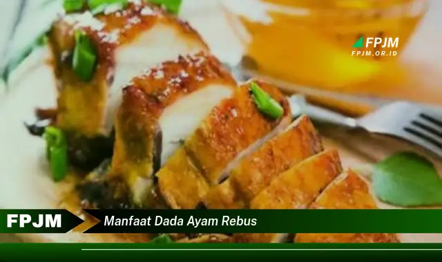 manfaat dada ayam rebus manfaat dada ayam rebus