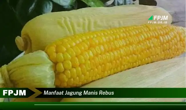 manfaat jagung manis rebus