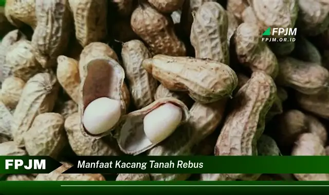 manfaat kacang tanah rebus manfaat kacang tanah rebus