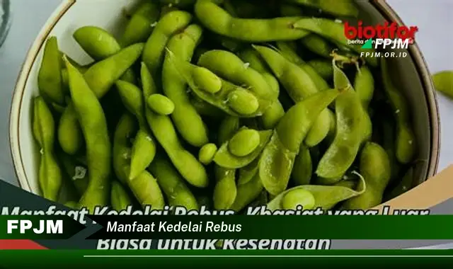 manfaat kedelai rebus manfaat kedelai rebus