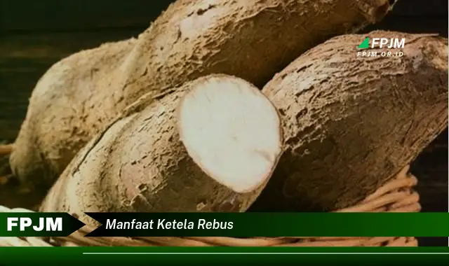 manfaat ketela rebus