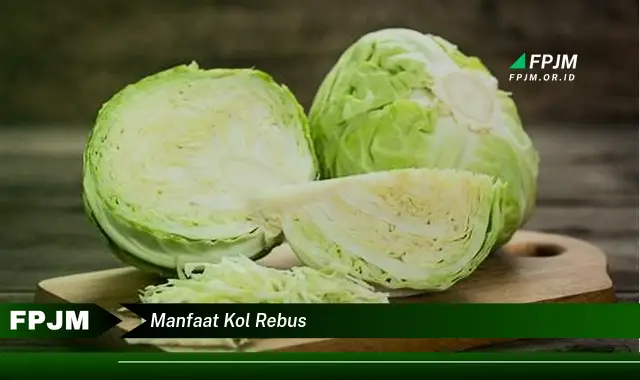 manfaat kol rebus manfaat kol rebus