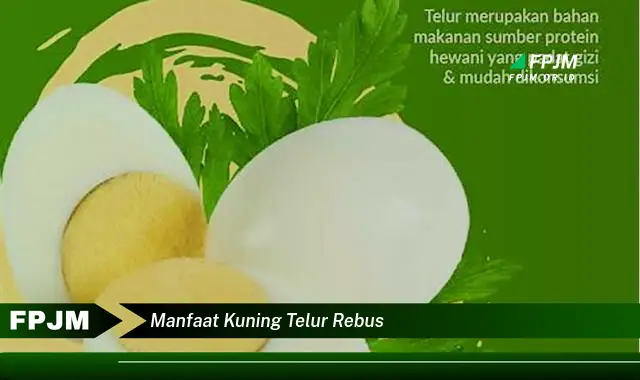 manfaat kuning telur rebus