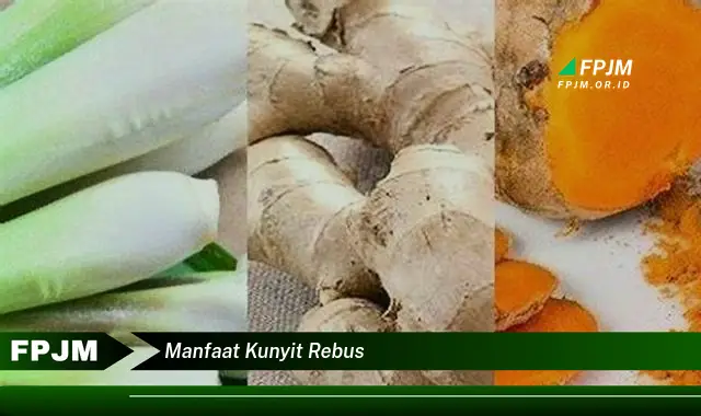 manfaat kunyit rebus