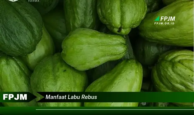 manfaat labu rebus