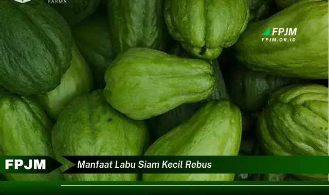 manfaat labu siam kecil rebus