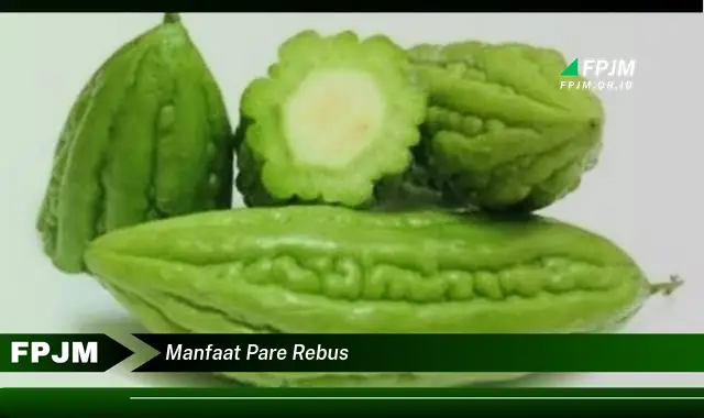 manfaat pare rebus manfaat pare rebus