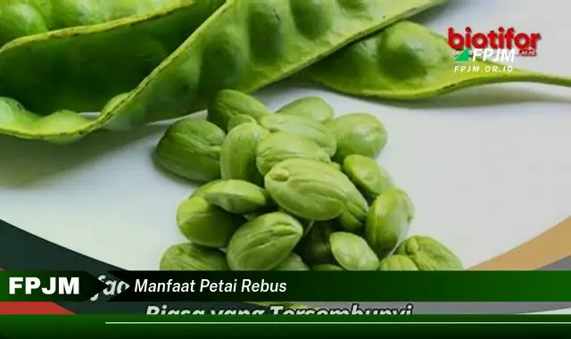 manfaat petai rebus manfaat petai rebus