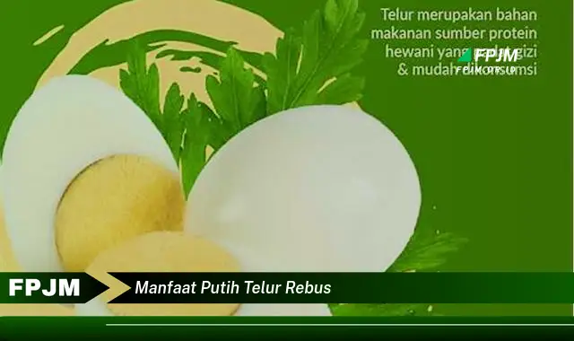 manfaat putih telur rebus manfaat putih telur rebus