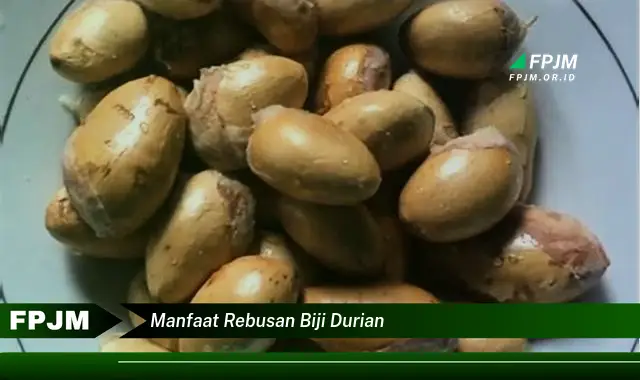 manfaat rebusan biji durian manfaat rebusan biji durian