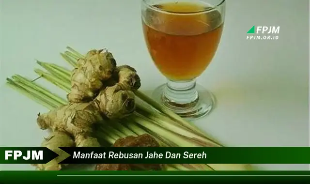 manfaat rebusan jahe dan sereh