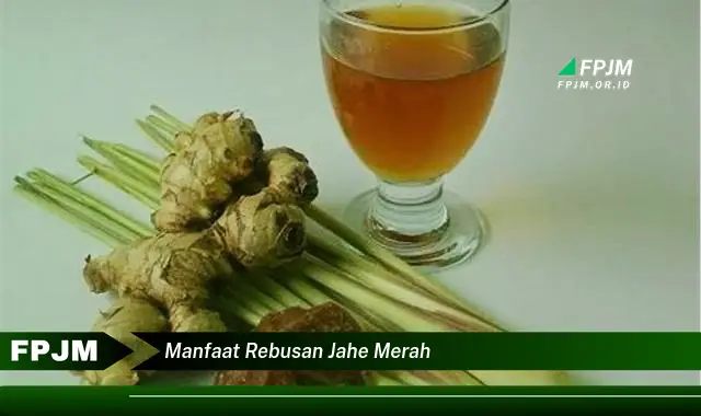 manfaat rebusan jahe merah