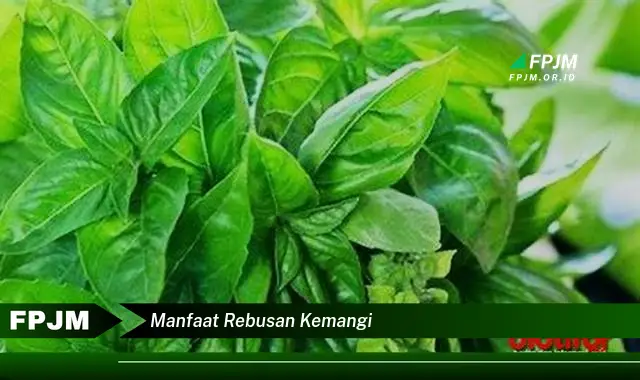 manfaat rebusan kemangi