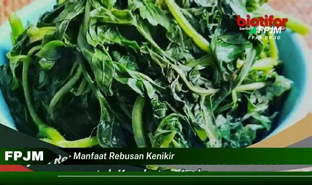 manfaat rebusan kenikir