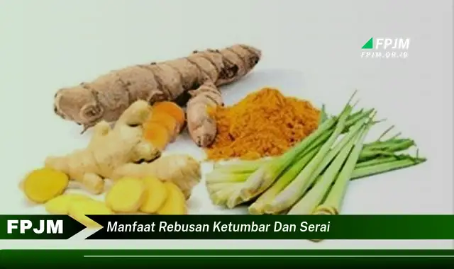 manfaat rebusan ketumbar dan serai