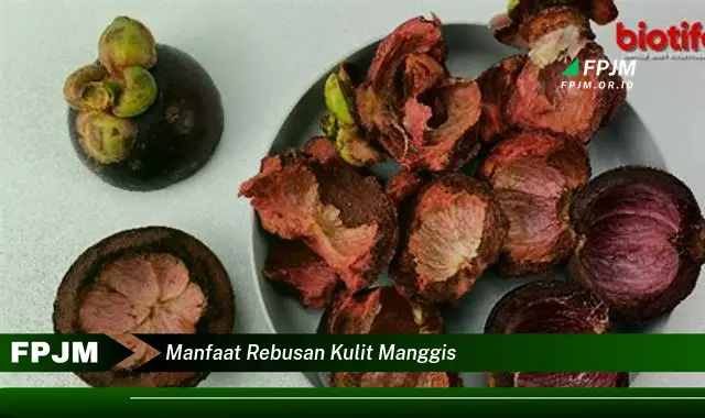 manfaat rebusan kulit manggis manfaat rebusan kulit manggis