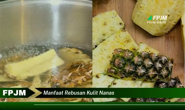 manfaat rebusan kulit nanas manfaat rebusan kulit nanas