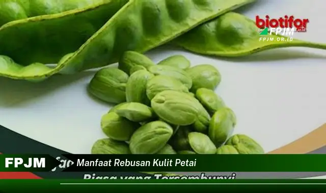 manfaat rebusan kulit petai