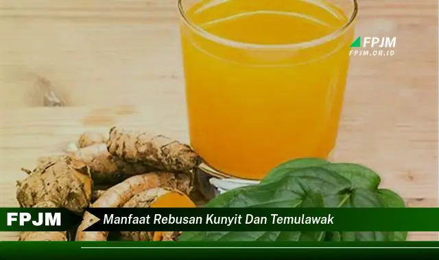 manfaat rebusan kunyit dan temulawak