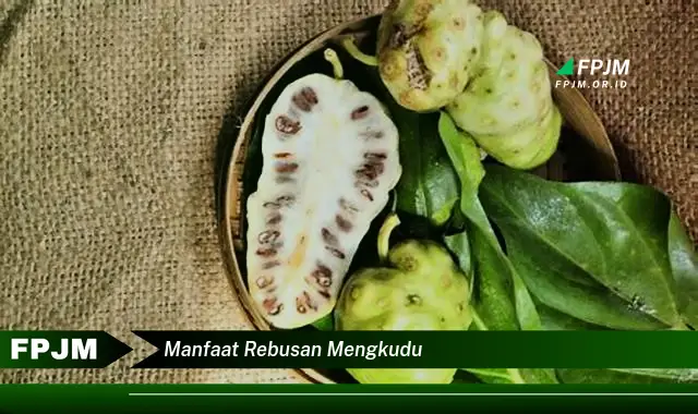 manfaat rebusan mengkudu