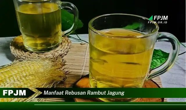 manfaat rebusan rambut jagung