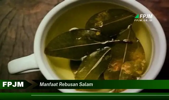 manfaat rebusan salam