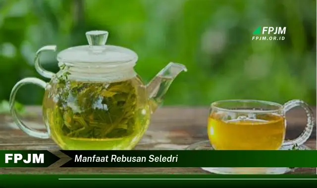manfaat rebusan seledri manfaat rebusan seledri