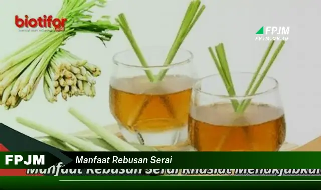 manfaat rebusan serai manfaat rebusan serai