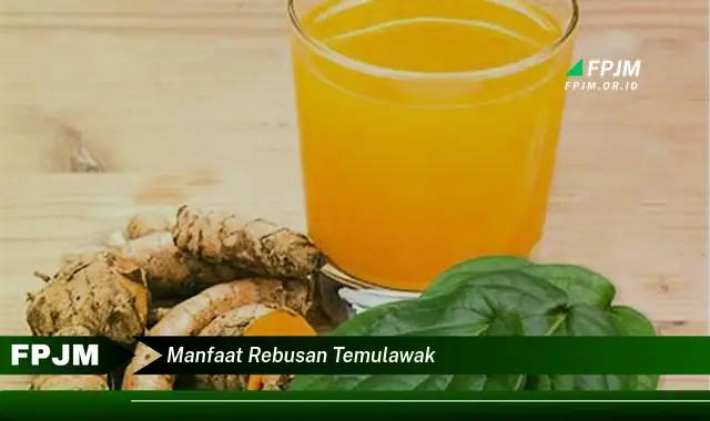 manfaat rebusan temulawak