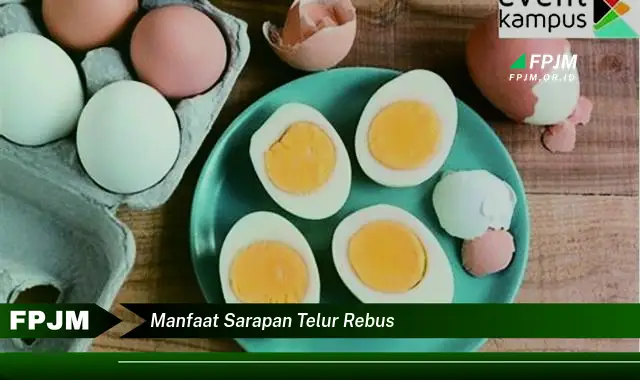 manfaat sarapan telur rebus