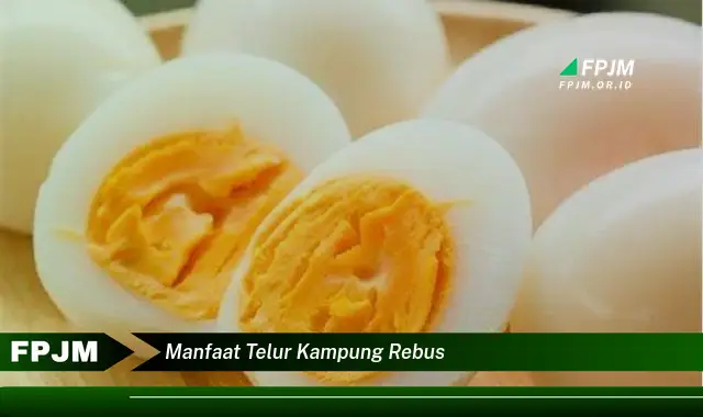 manfaat telur kampung rebus manfaat telur kampung rebus