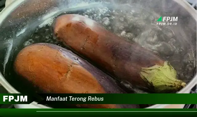 manfaat terong rebus