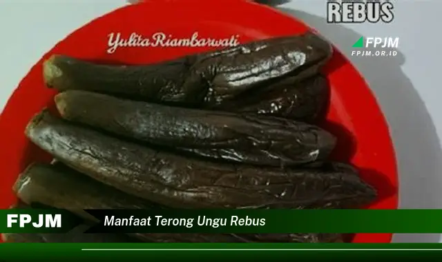 manfaat terong ungu rebus
