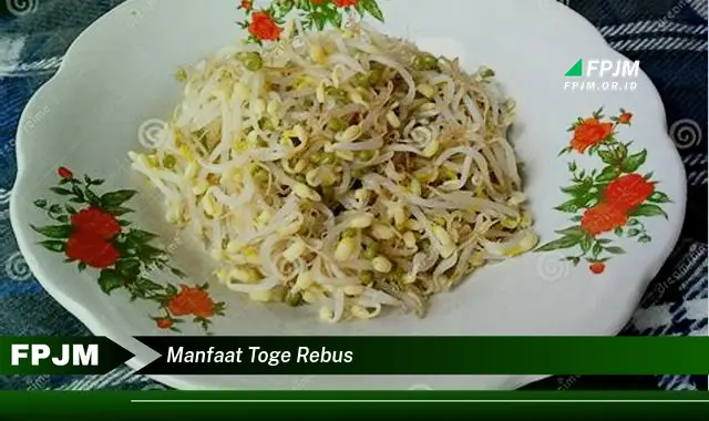 manfaat toge rebus